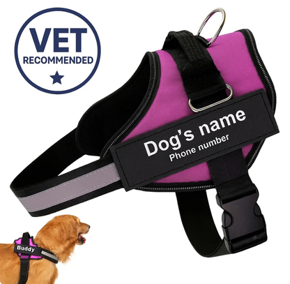 Personalized No-Pull Dog Harness