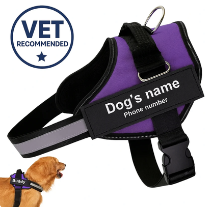 Personalized No-Pull Dog Harness