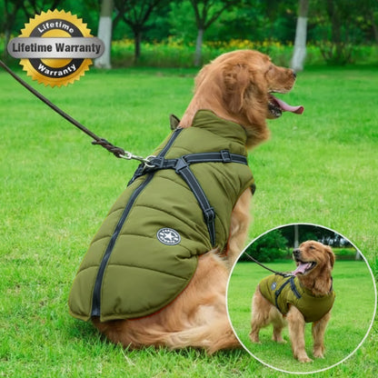 The Waterproof Winter Jacket Every Dog Deserves