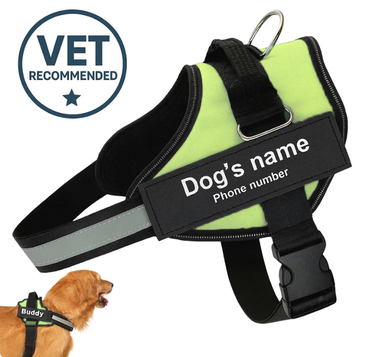 Personalized No-Pull Dog Harness