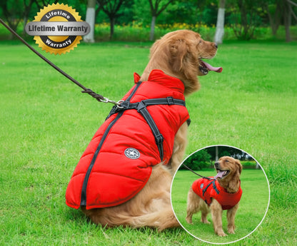 The Waterproof Winter Jacket Every Dog Deserves