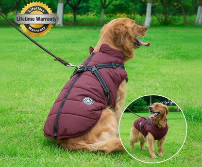 The Waterproof Winter Jacket Every Dog Deserves