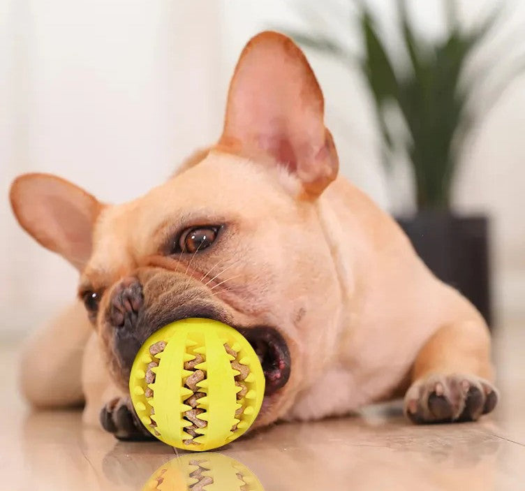 Durable Dog Treat & Chew Ball