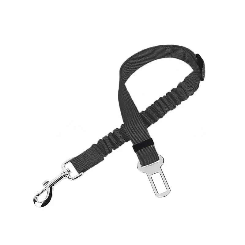 Car Seat Belt Leash