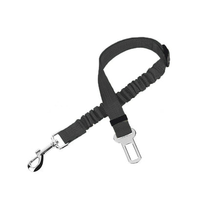 Car Seat Belt Leash
