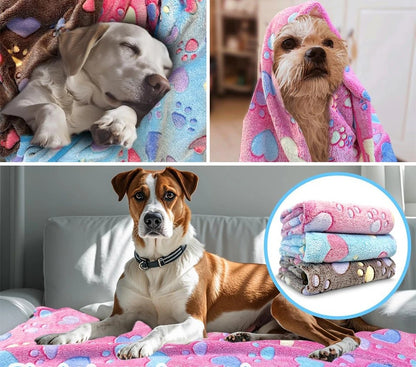 A Cozy Blanket For Your Pet