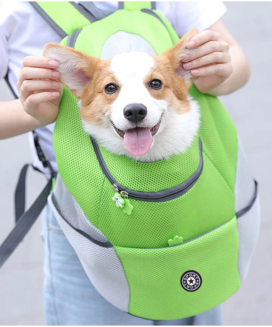 A Pet Carrier Backpack That Keeps You And Your Pet Comfortable on Every Adventure