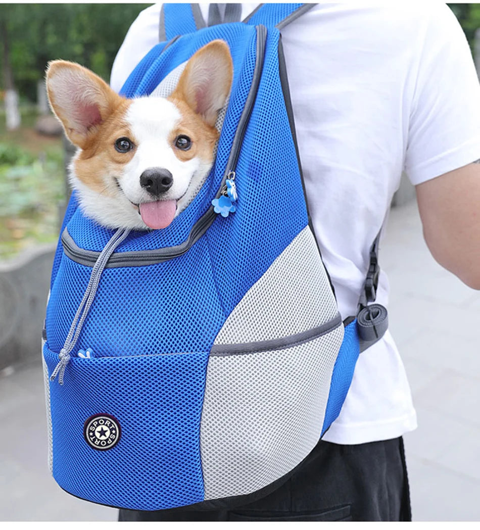 A Pet Carrier Backpack That Keeps You And Your Pet Comfortable on Every Adventure
