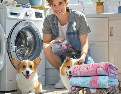 A Cozy Blanket For Your Pet