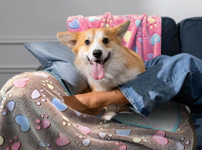 A Cozy Blanket For Your Pet