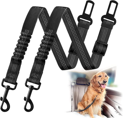 Car Seat Belt Leash