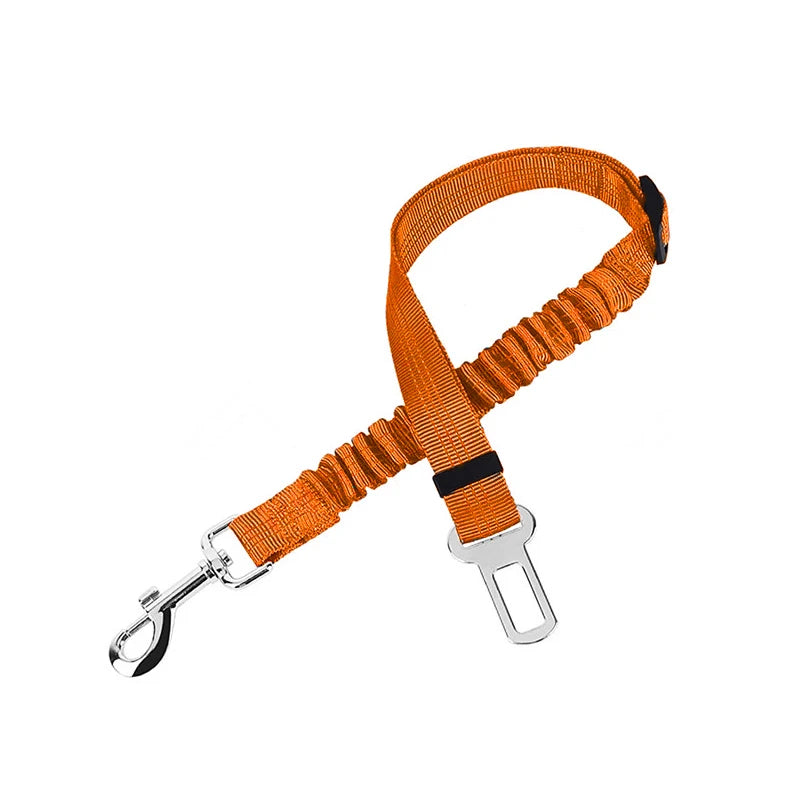 Car Seat Belt Leash