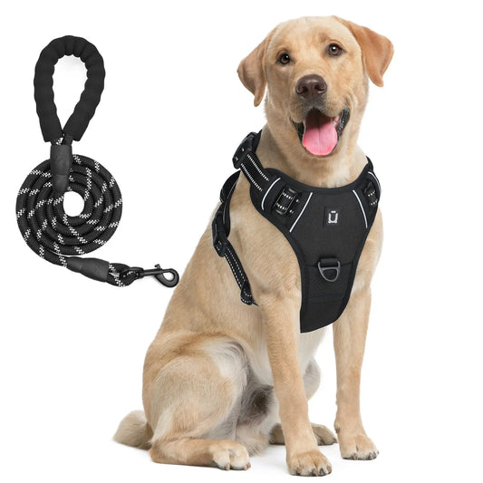 Escape-Proof No Pull Dog Harness & Leash Combo Bark N' Smile