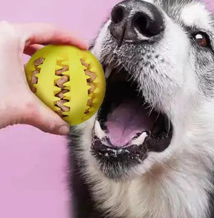 Durable Dog Treat & Chew Ball