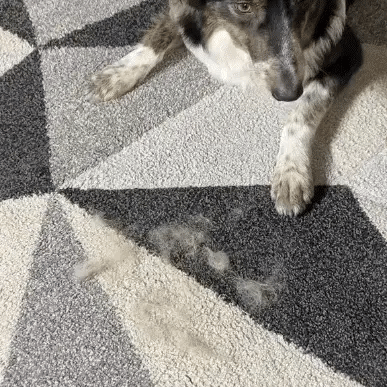 Hair Removing Mitt