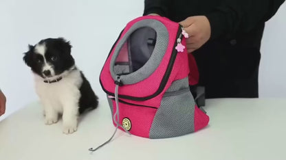 A Pet Carrier Backpack That Keeps You And Your Pet Comfortable on Every Adventure