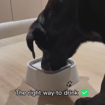 No More Spills! Water Bowl for Stress-Free Hydration