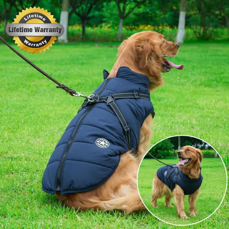 The Waterproof Winter Jacket Every Dog Deserves