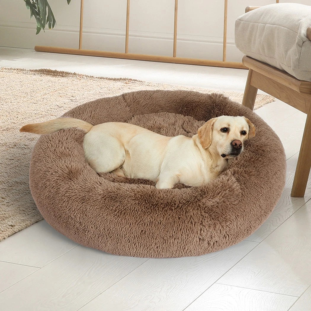 Calming Dog Bed